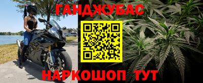 гидра Шахты