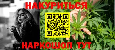 гидра Шахты