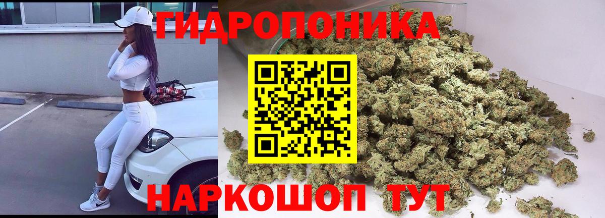 Бошки Шишки сатива  Вход с VPN  Бердск  Марихуана MAZAR 